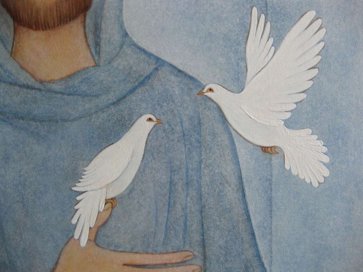 San Francisco de Asís -seccion